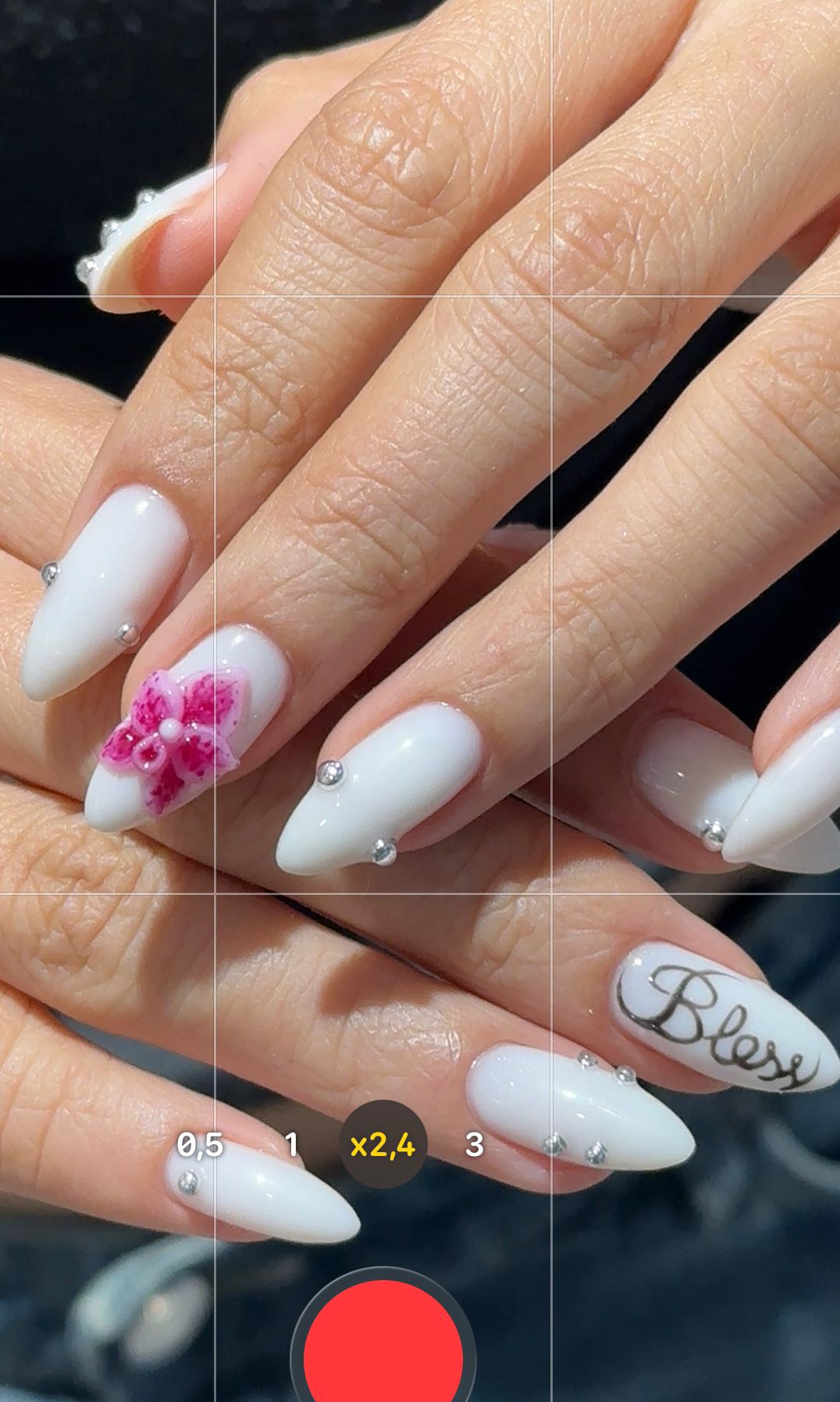 Flores 3D